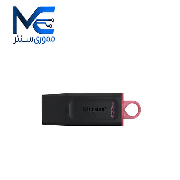فلش مموری کینگستون مدل Exodia DTX USB3.2 ظرفیت 256 گیگابایت
